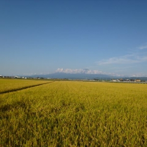 酒田から見た鳥海山(３)