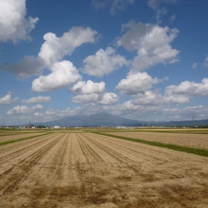 昨日の寒さが嘘のような今日のきれいな鳥海山！