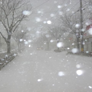 今年初暴風雪で全国ニュースでも？！！