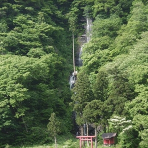 新緑の最上川、白糸の滝に魅せられて！