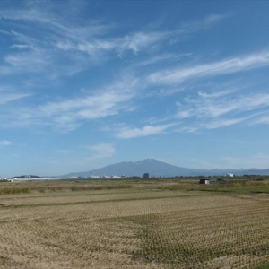 稲刈り後の田んぼ、青空と雪化粧した鳥海山