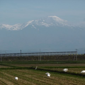 あっという間に鳥海山もかなりの雪化粧！