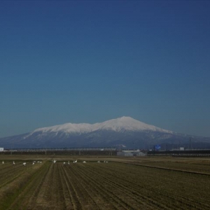 小春日和と言える最高な今日の青空と鳥海山！！