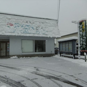 １晩で劇的に変わった雪景色