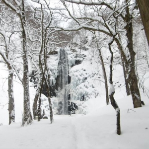 一冬に一度は「玉簾の滝」を見に行ってます。