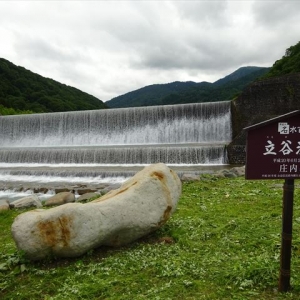 北月山の奥に行くと自然の宝庫があります！！