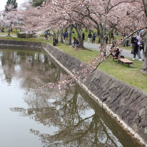 花より団子？？？